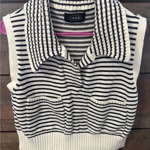 Cider Striped Knit Vest